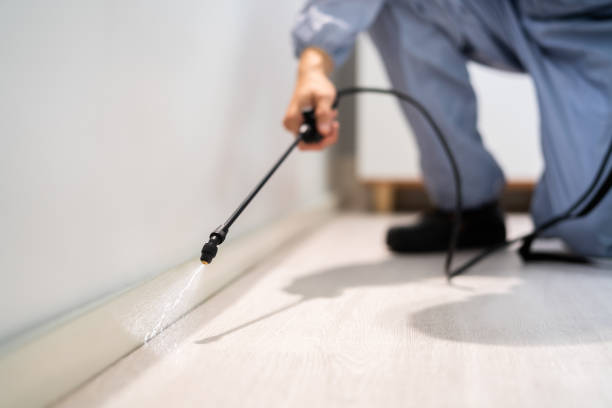 Bed Bug Pre-Treatment Preparation Assessment in Lakeshire