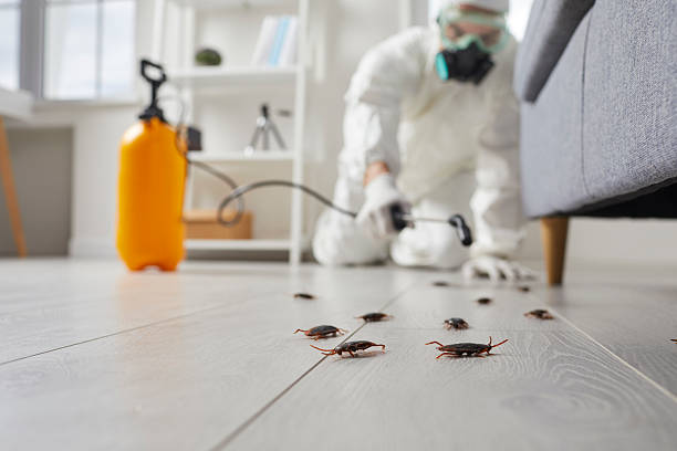 Post-Treatment Bed Bug Interceptor Monitoring in Lakeshire