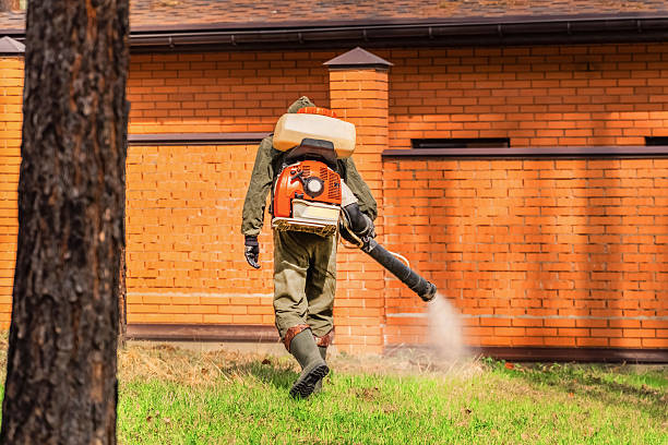 Bed Bug Clearance Verification and Documentation in Lakeshire